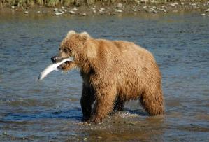 Reese Graham